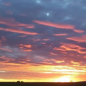 Meet your Posher, Sybil